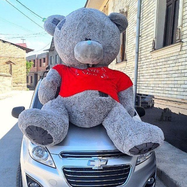 Ayiq-teddi_bear (75sm-3metrgacha) Hasanboyda