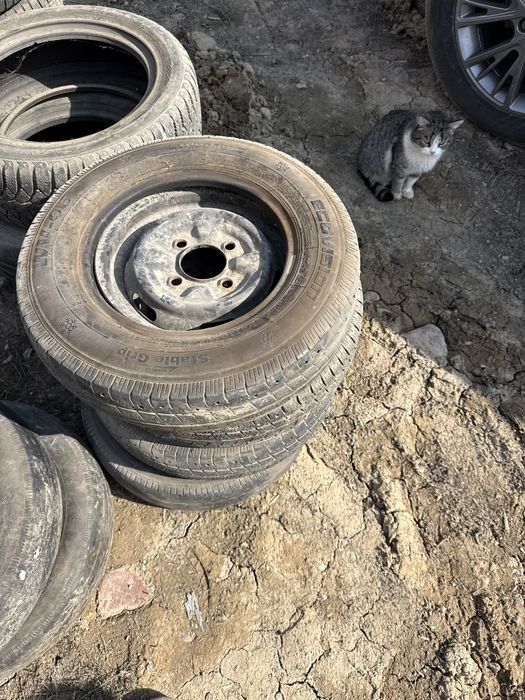 Шина с дисками 155/ 12