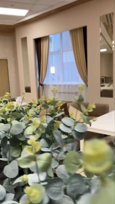 Комплексные обеды от профессионалов