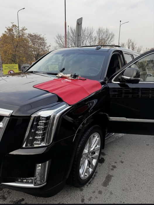 Ремонт трещин и сколов