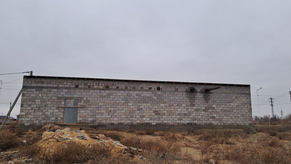 Үй сатылады, бәйтерек