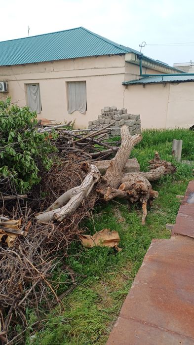 Quruq o'tin somsacilar ucun qulay