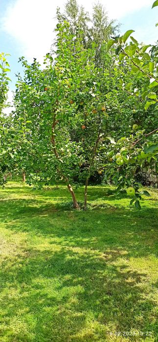 Продам дачу сад Речкнька