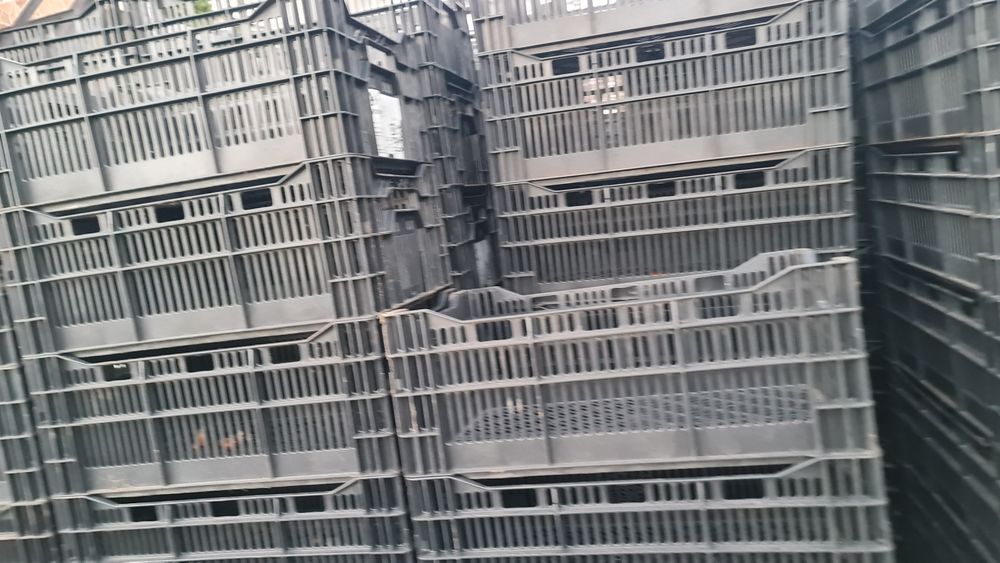 Vând lădițe plastic rigide