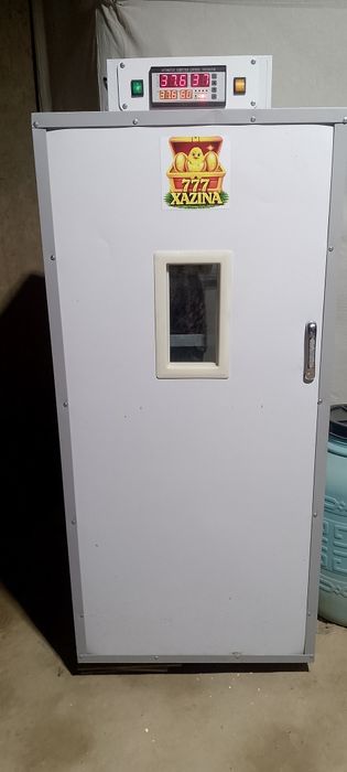 Inkubator xizmati