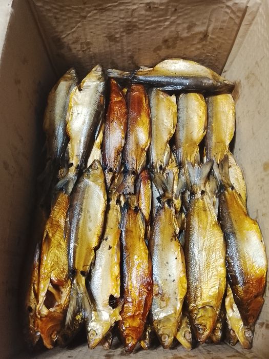 Продам пеляди горячего копчения сочные вкусные