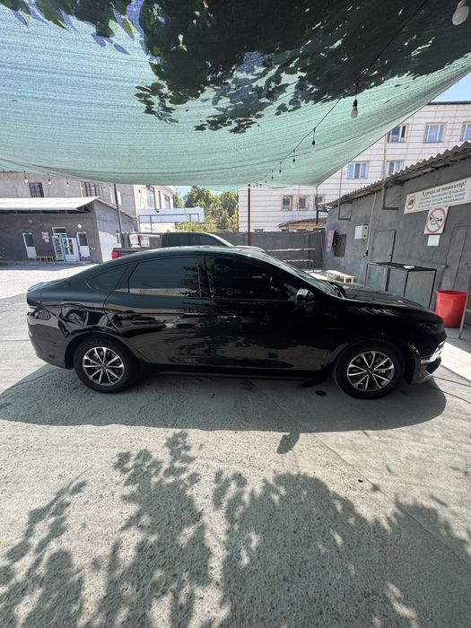 BYD CHAZOR кора 2-пазиция 2024 йил декабр