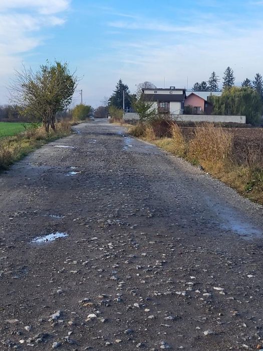 Teren 9000 Com. Clinceni Jud. Ilfov