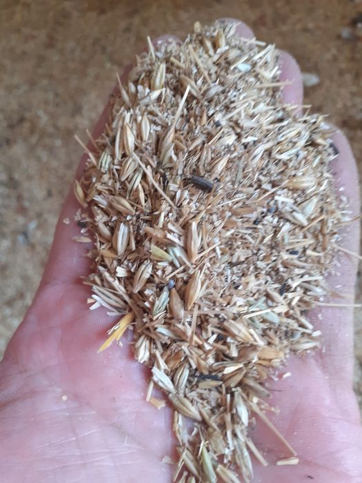 Отходы Полова россыпью для крс