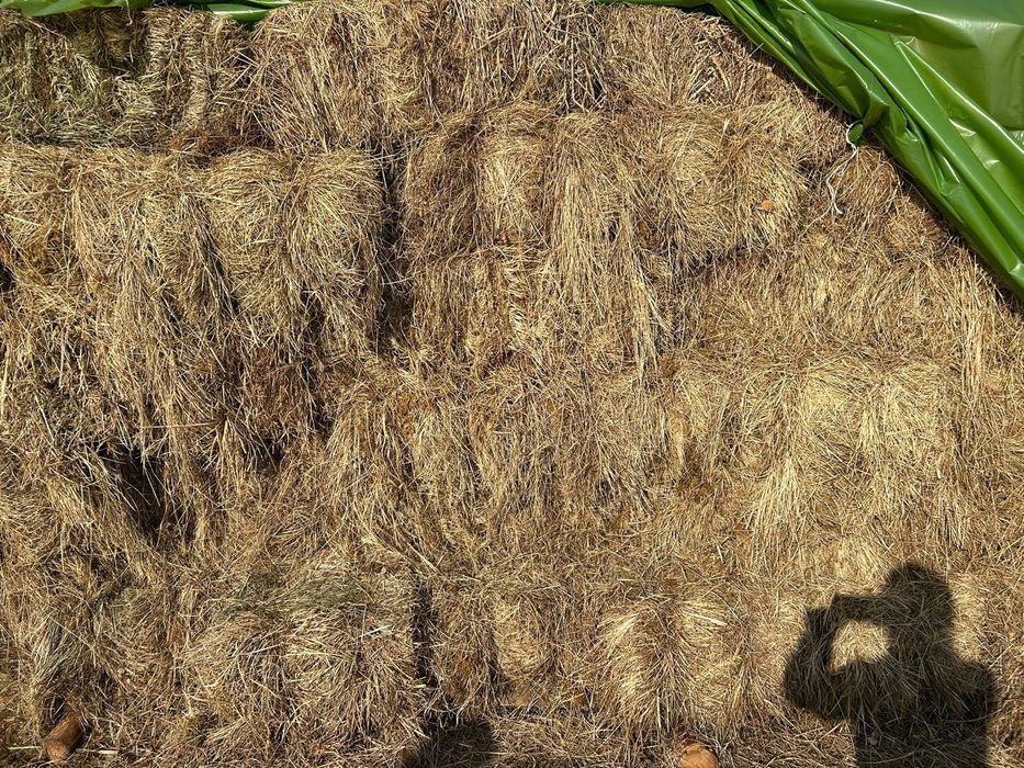 Baloți de fân dreptunghiulari