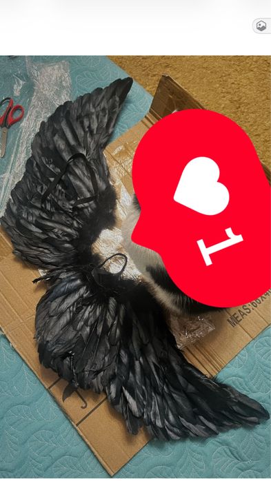 Крылья ангела/ демона на праздник