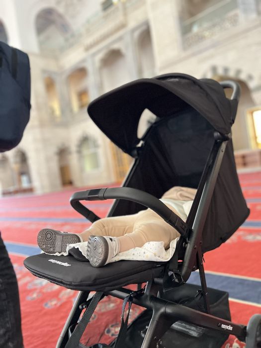 Easywalker коляска прогулочная