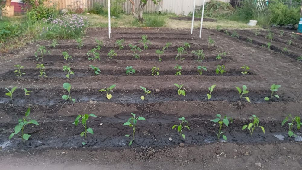 Продам дачу СО Пригородное