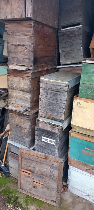 Vand roinite pt. Albine