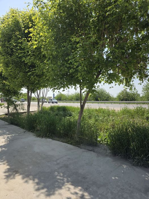 Участок продается 8 ком