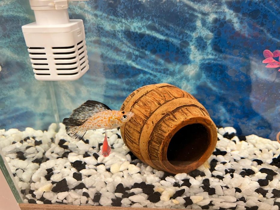 Продам Аквариум