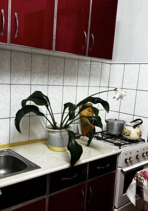 Продается 2/3/5 квартира Карасу-6