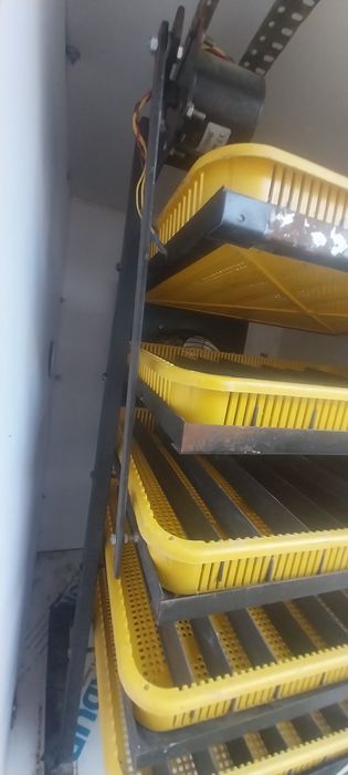 Inkubator. 500 talik