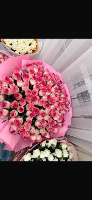 Цветы разные, гүлдер әдемі 101 ; 51  неше түрі бар