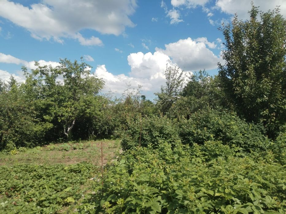 Дача кривое озеро.