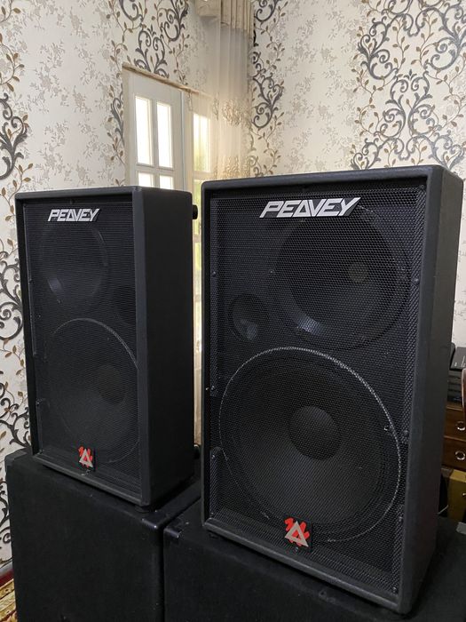 Peavey DTH SM Калонки