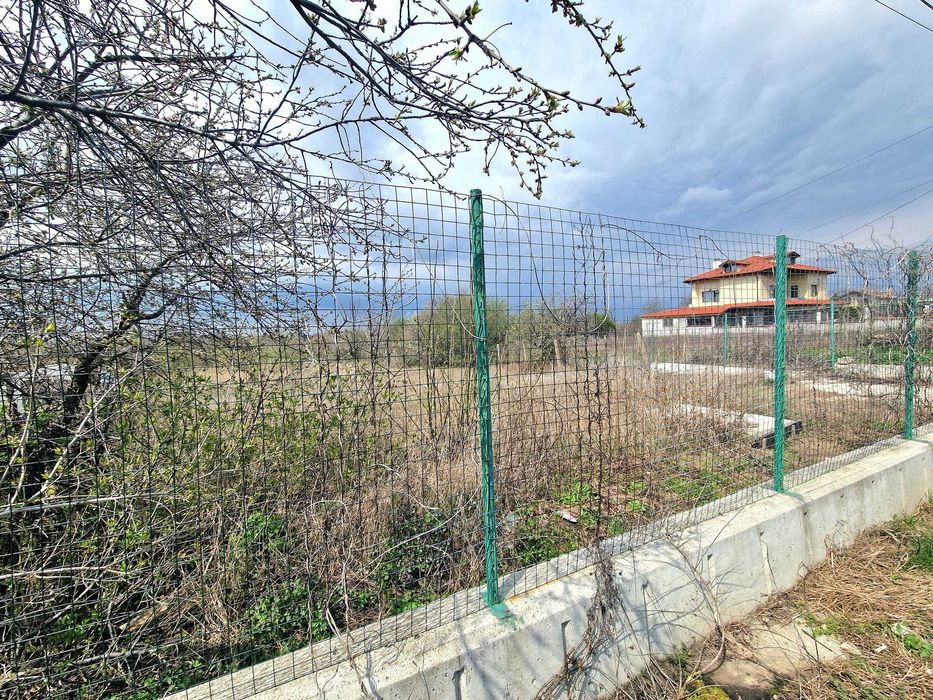 Лозе в Добрич...