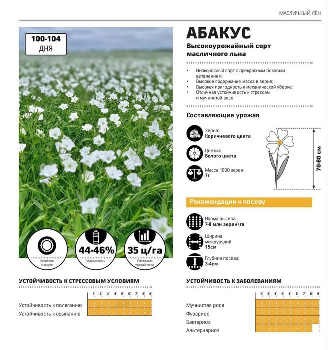 Семена Лён Абакус