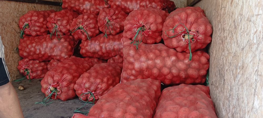 Картофель от кх сорт паролли