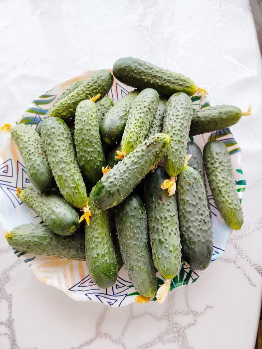 Огурцы домашние.