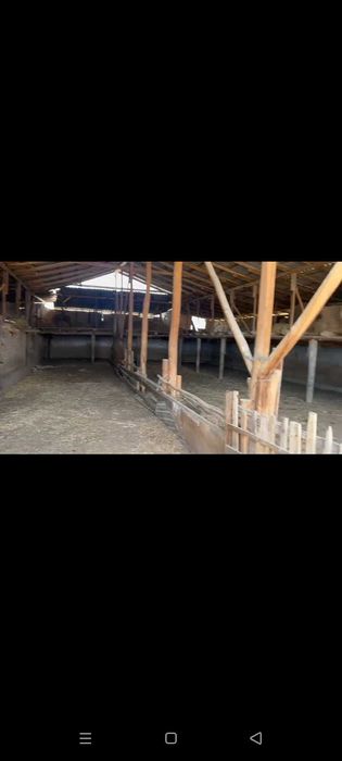 СРОЧНО ФЕРМА сотилади Рохат постидан 25км