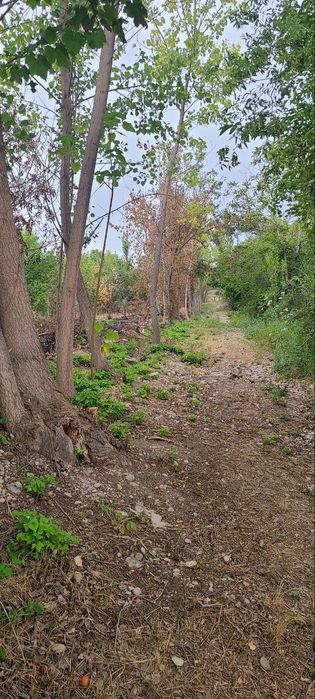 DACHA sotiladi suv Elektor bor