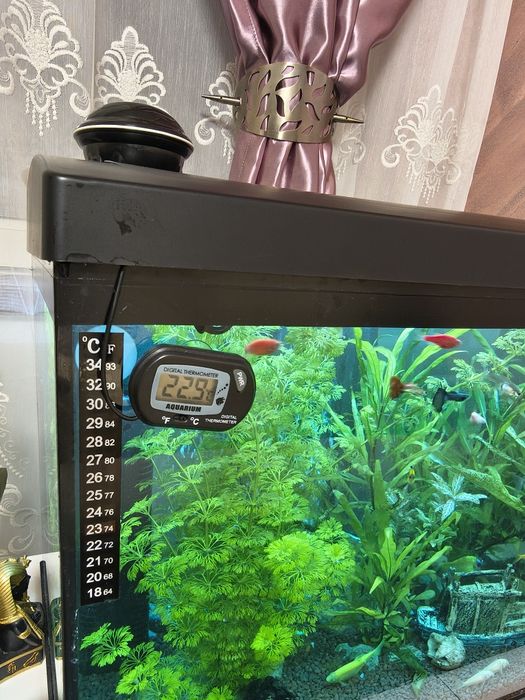 Acvariu cu pesti CLASICA