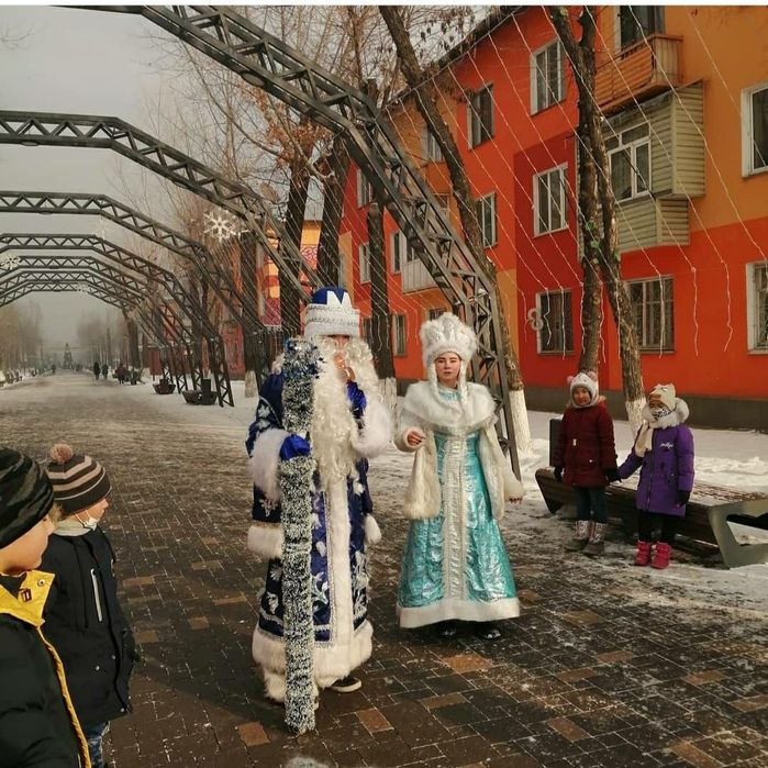 Дед мороз и снегурочка на дом