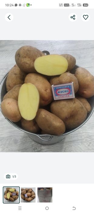 Дачная картошка,хорошего сорта