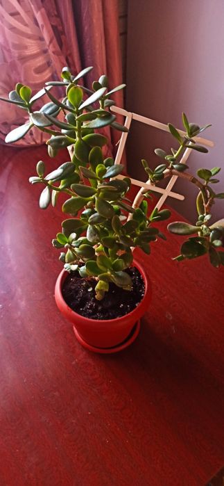 Продам недорого.