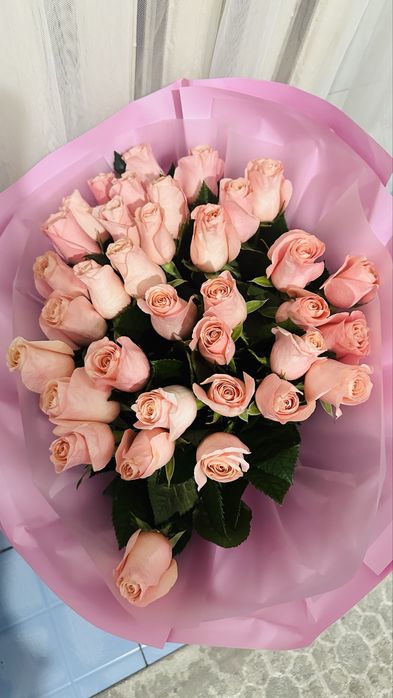 цветы, свежие, новые