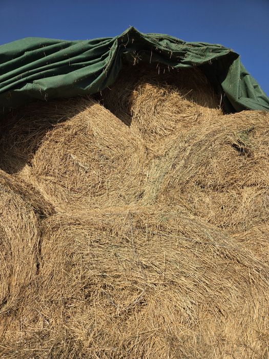 Vand baloti lucerna 120/160