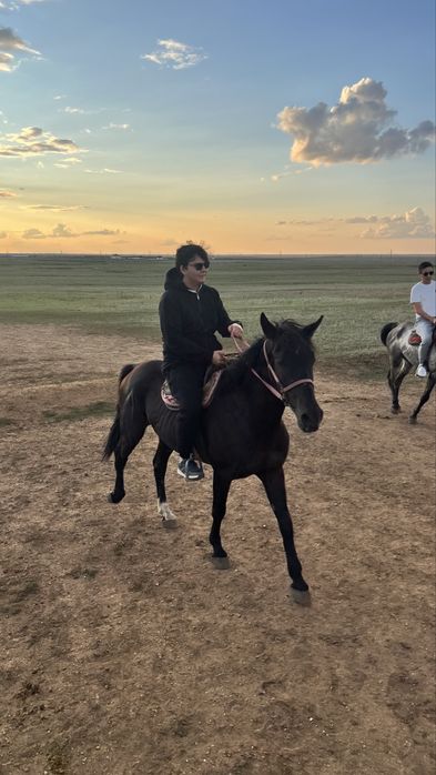 продаю друга заежал