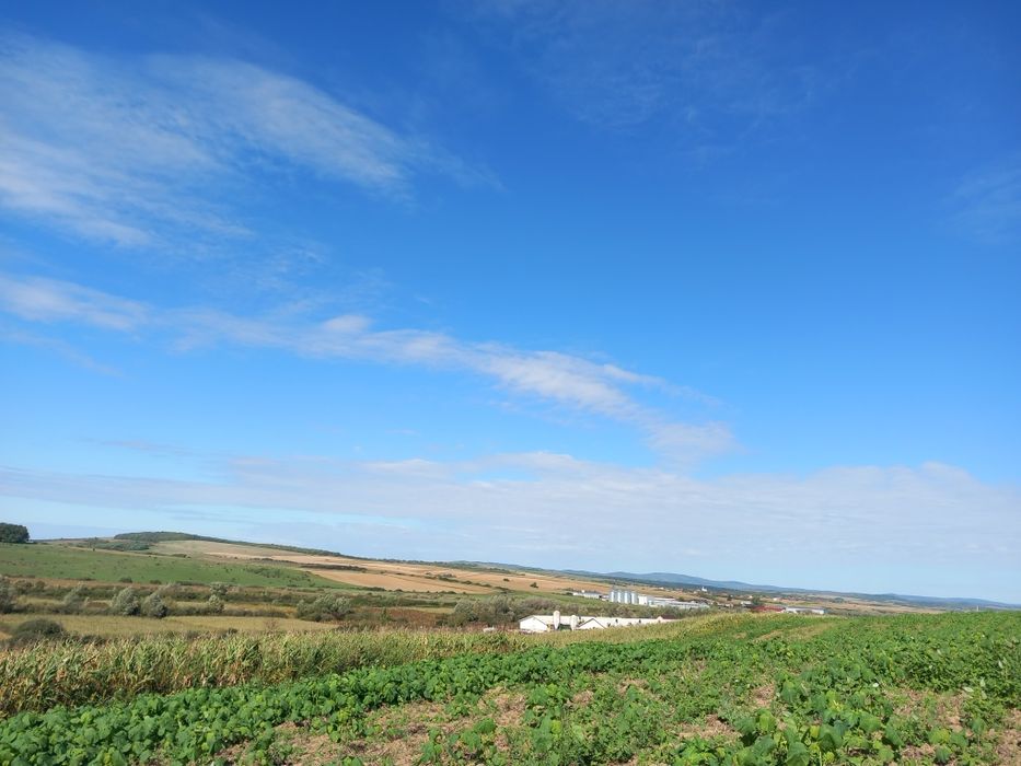 Teren Cehu Silvaniei în suprafață 12.300