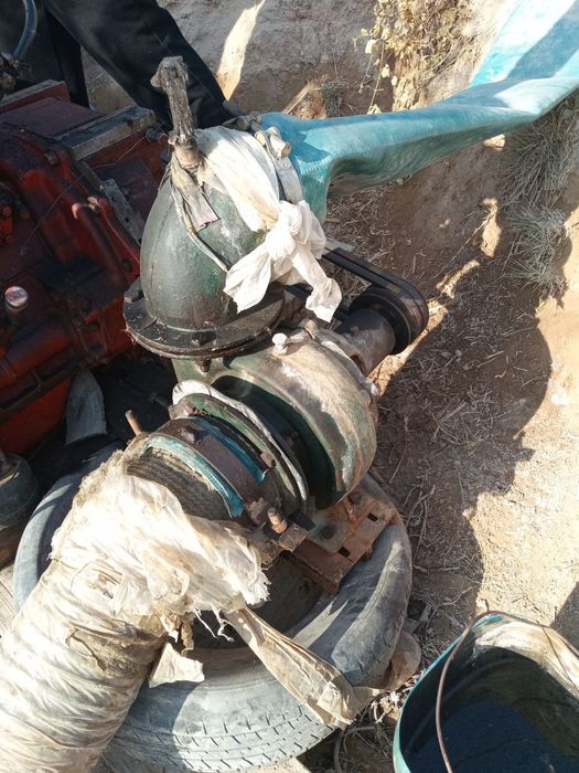 Nasos 200 lik sotiladi