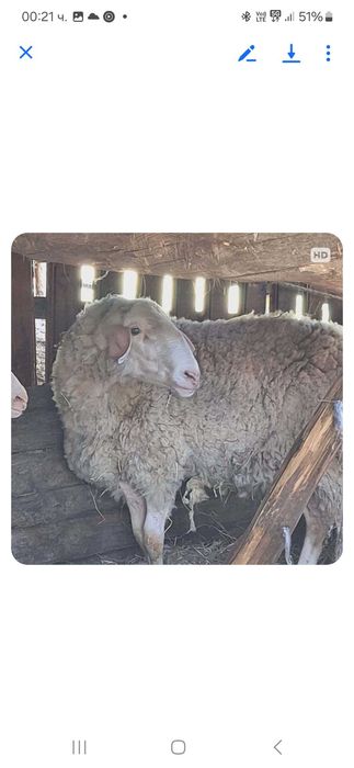 Асаф на 3 години