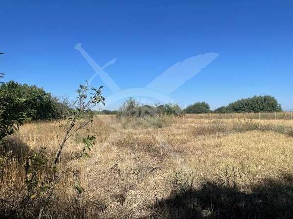 Продава се Парцел в Стамболийски - 3707 кв.м за 50 €/кв.м - Снимка #2