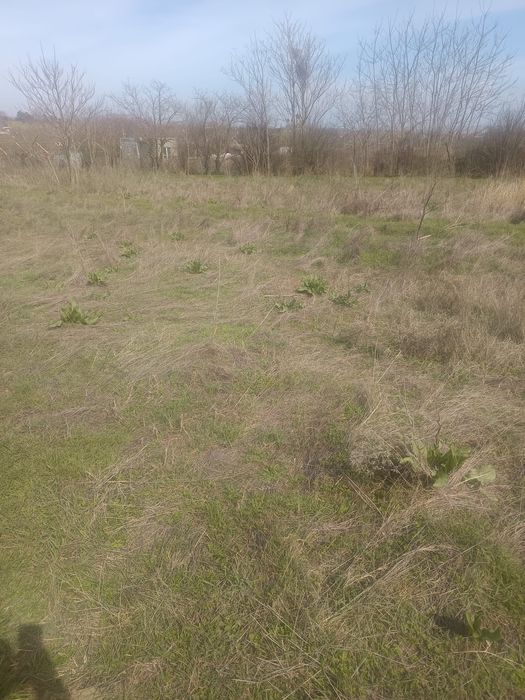 Vând teren intravilan în sibioara (constanta )