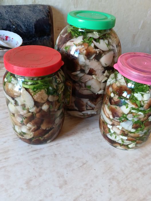 Продам грибы валуи соленые