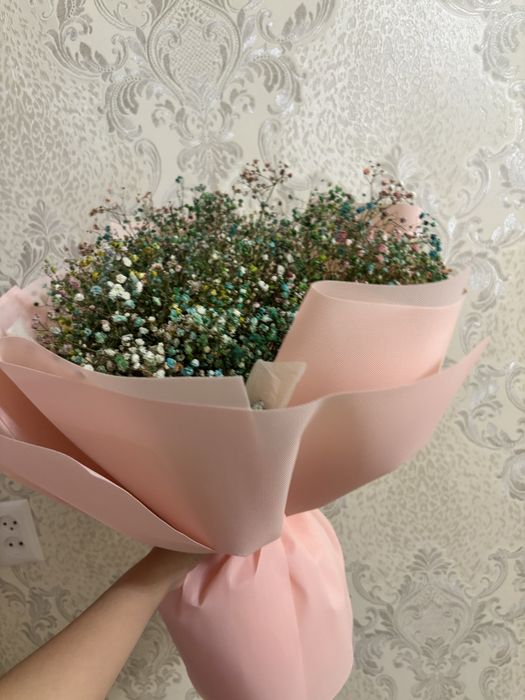 цветы гипсофилы.Свежие сегодня получила