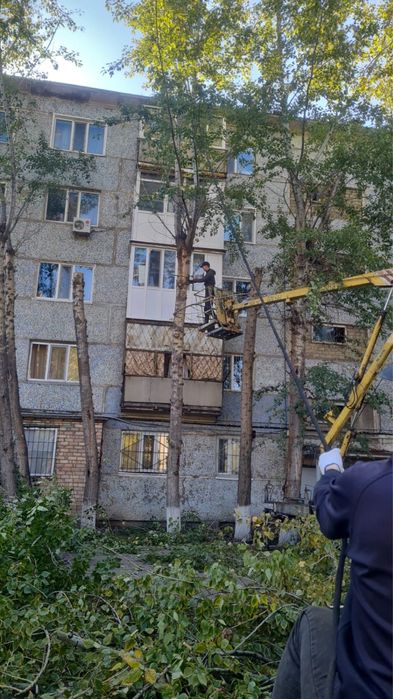 Спил деревьев любой сложности