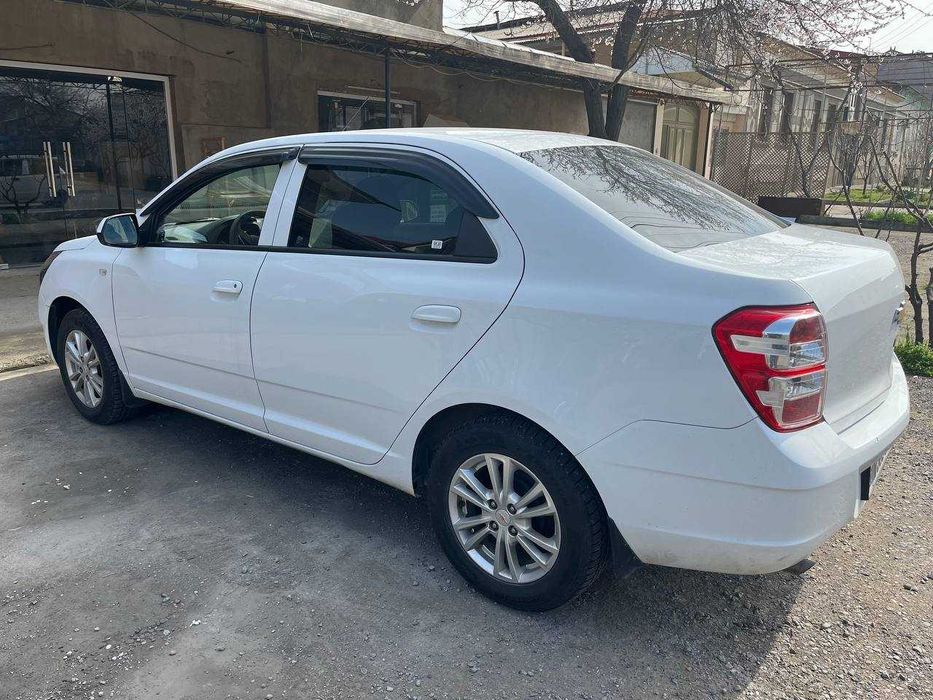 Свой кобольт ноябрь 2023