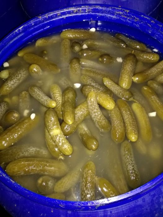 Vand castraveti murati