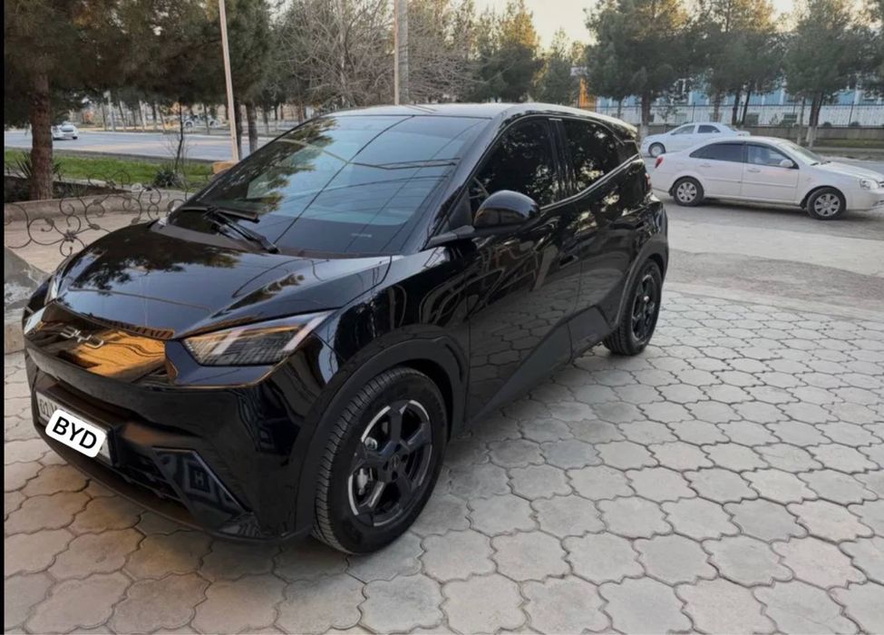 Byd seagull sotiladi TOZA%