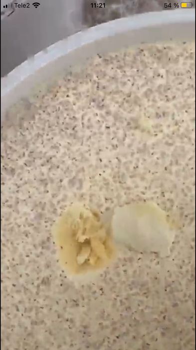 Мёд натуральный оптом